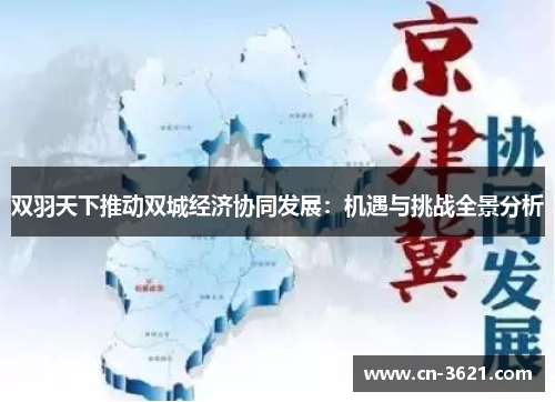双羽天下推动双城经济协同发展：机遇与挑战全景分析