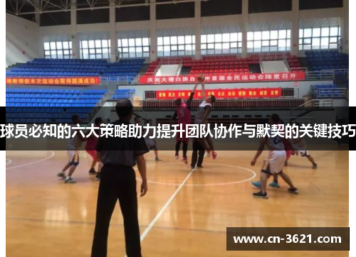 球员必知的六大策略助力提升团队协作与默契的关键技巧