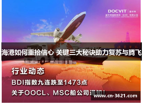 海港如何重拾信心 关键三大秘诀助力复苏与腾飞