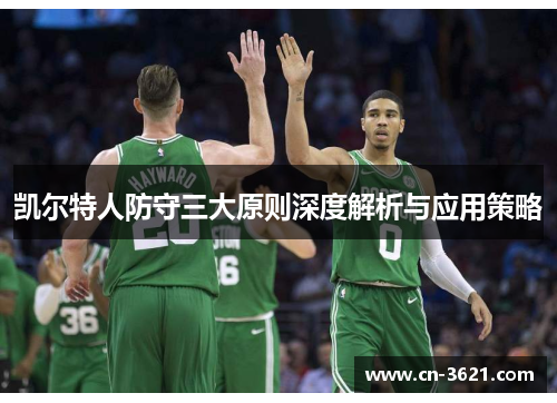 凯尔特人防守三大原则深度解析与应用策略